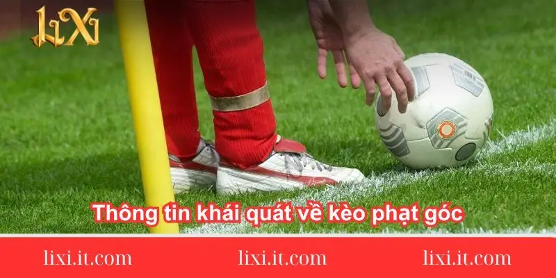 thong tin khai quat ve keo phat goc 1 thong-tin-khai-quat-ve-keo-phat-goc