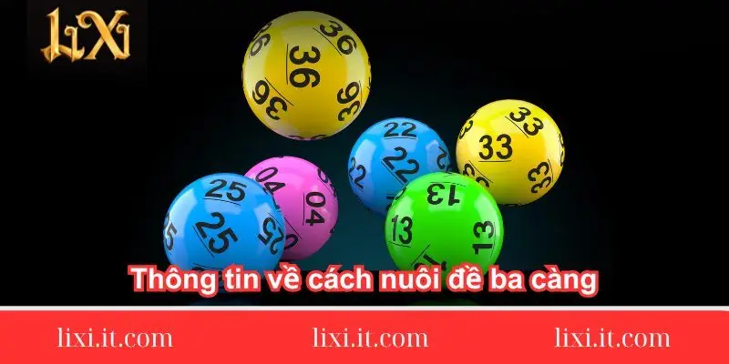 tong quan doi net ve dan de 64 so 1 tong-quan-doi-net-ve-dan-de-64-so