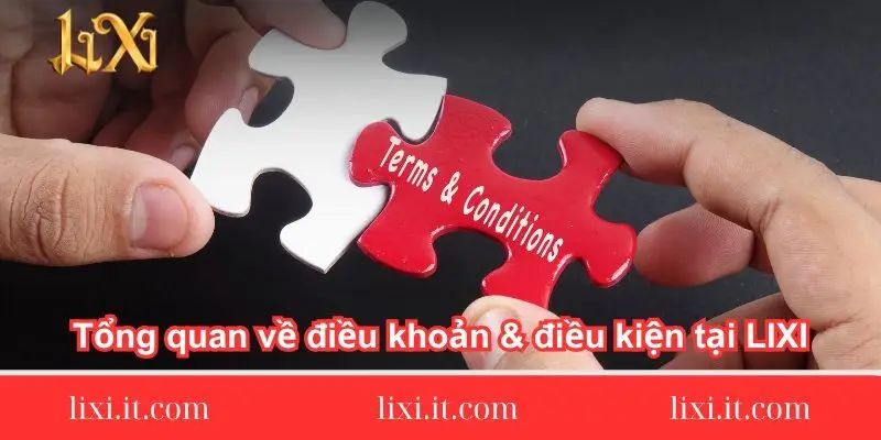 tong quan ve dieu khoan dieu kien tai tong-quan-ve-dieu-khoan-dieu-kien-tai-lixi88